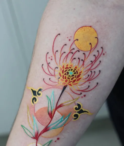 Flower, Rose, 국화, 매화, 모란, 벚꽃, 튤립, 수선화, 탄생화