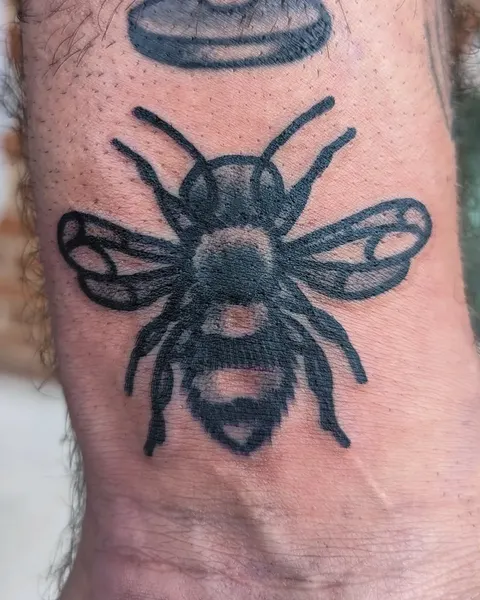 Animal, Nature, 나방