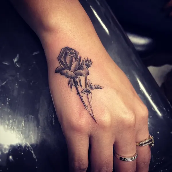 Flower, Rose