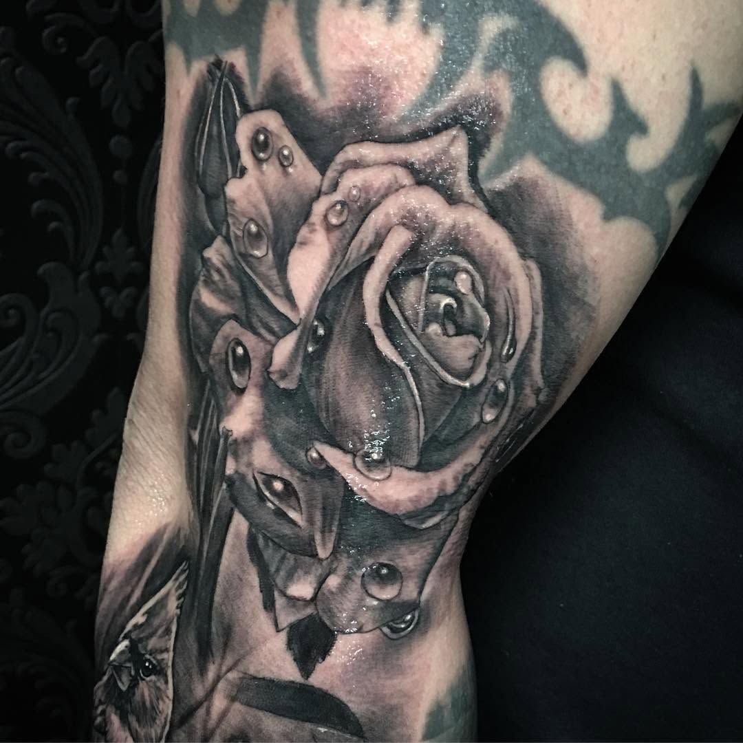 Flower, Rose
