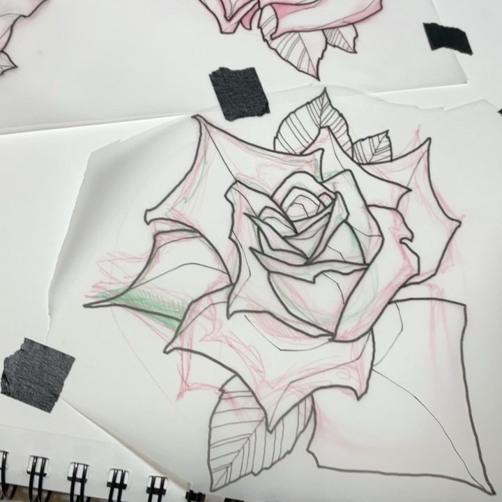 Flower, Rose