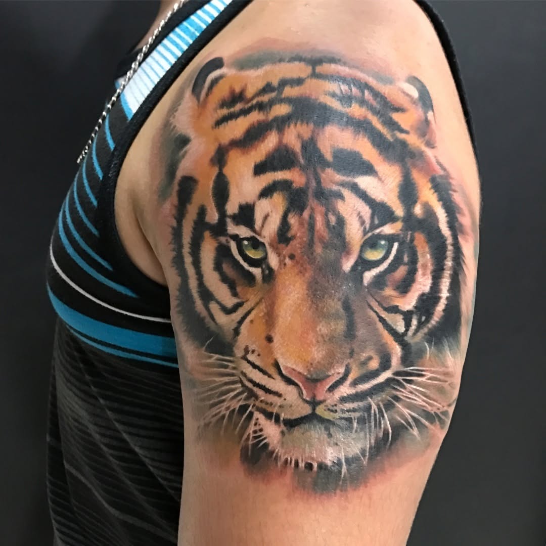 Tiger, 재규어, 사자자리, 중국 호랑이, 한국 호랑이, 치타, 표범