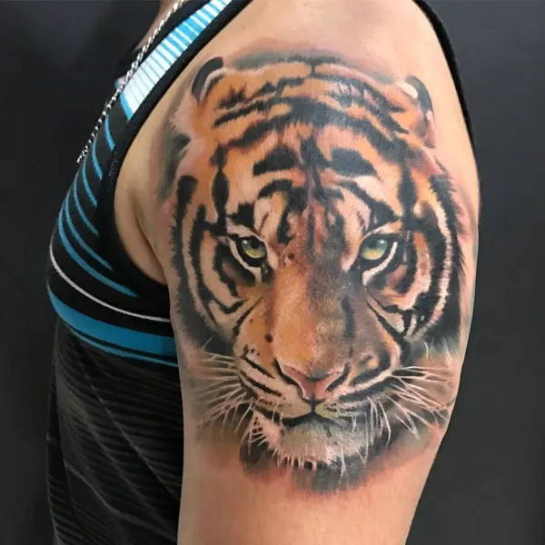 Tiger, 재규어, 사자자리, 중국 호랑이, 한국 호랑이, 치타, 표범