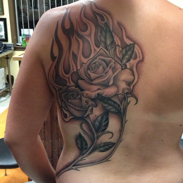 Flower, Nature, Rose