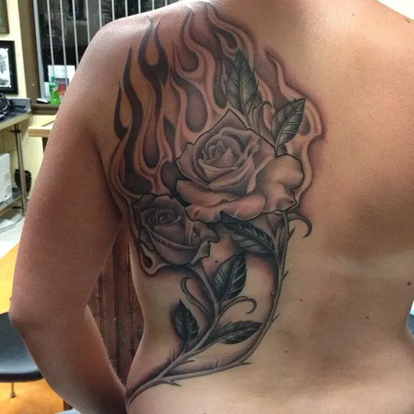Flower, Nature, Rose