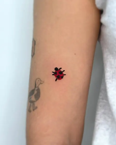 Animal, Mini, 양귀비