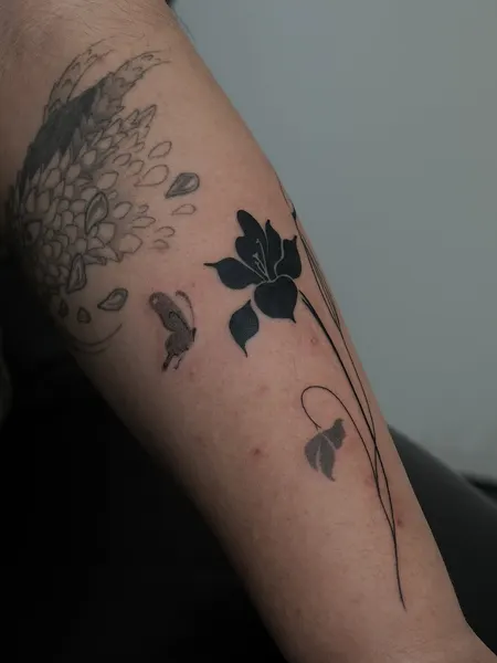 Flower, Rose