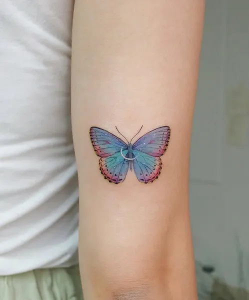 Animal, Nature, 나방