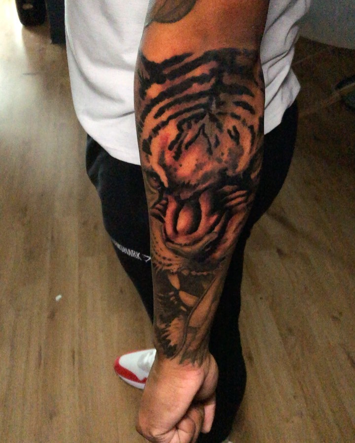Tiger, 중국 호랑이, 한국 호랑이, 일본 호랑이