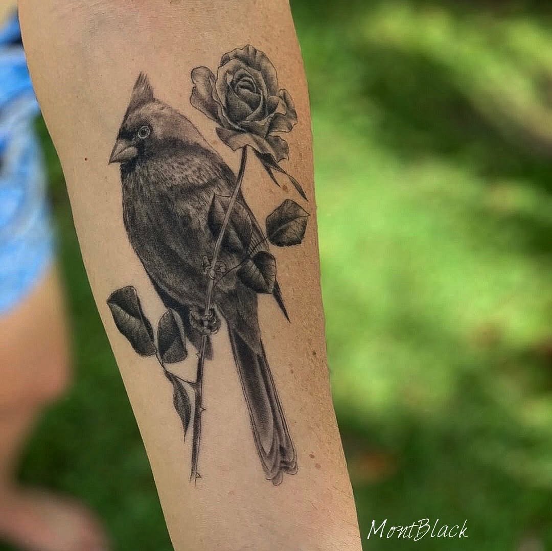 Flower, Animal, Nature