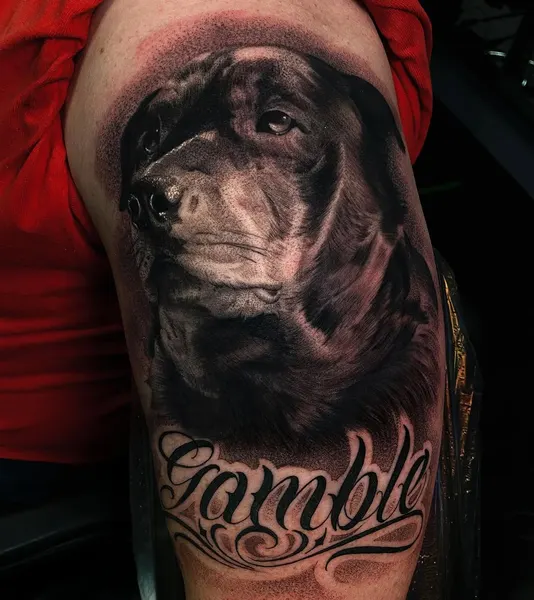 Animal