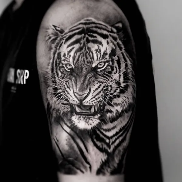 Tiger, 일본 호랑이, 중국 호랑이, 한국 호랑이