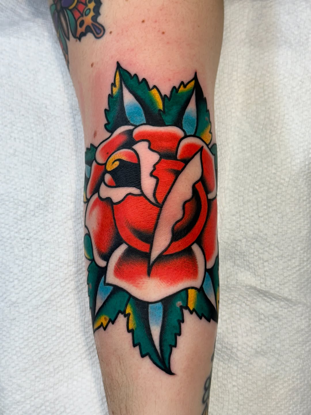 Flower, Rose