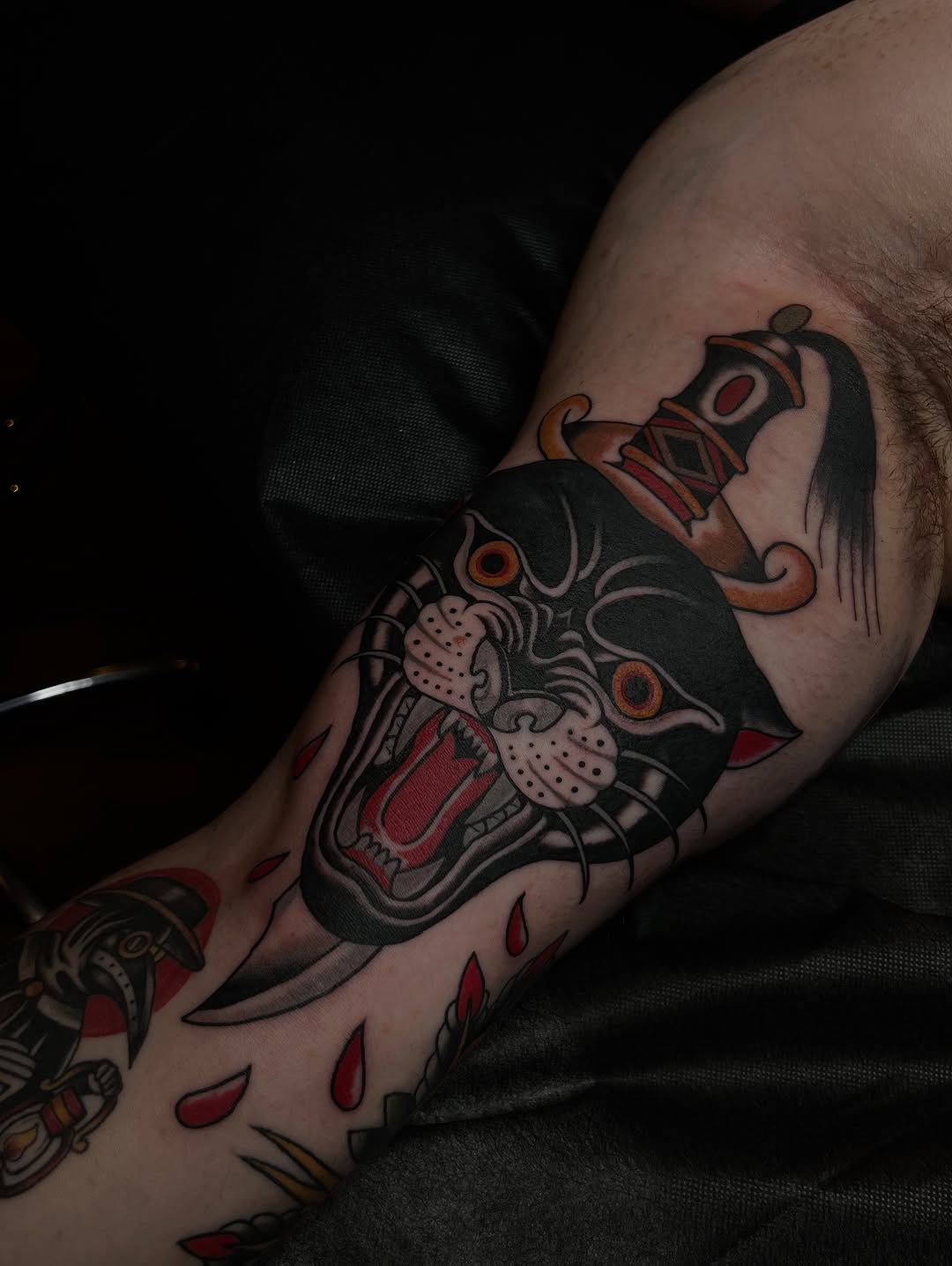 Tiger, Animal