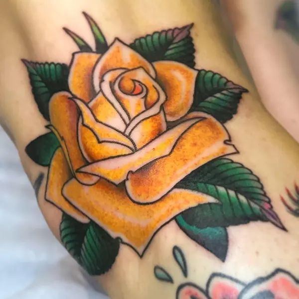 Flower, Rose