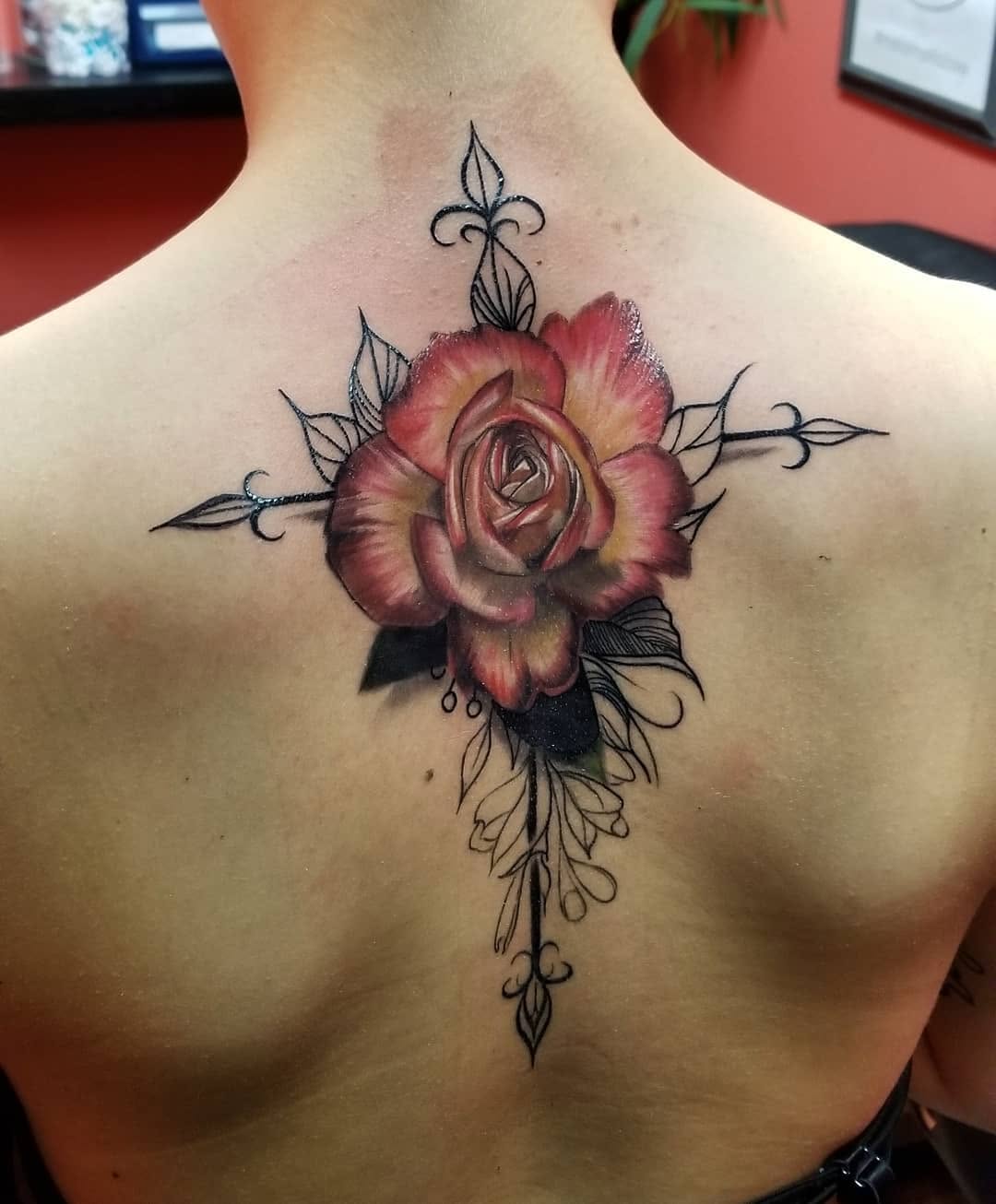 Flower, Rose, Nature