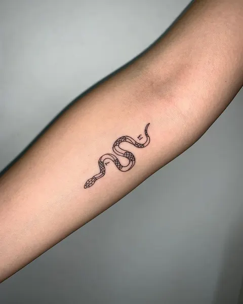 Dragon, 체인, 물병자리, 전갈자리, 서예, 쌍둥이자리