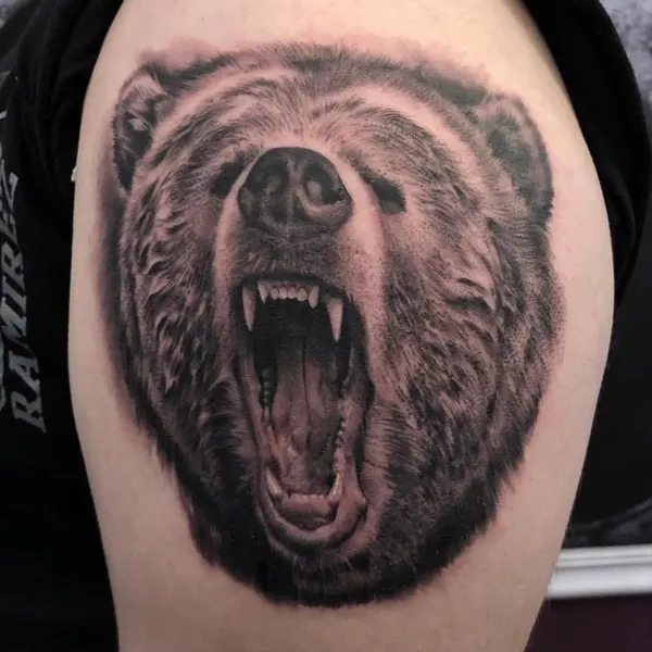 Animal, 곰