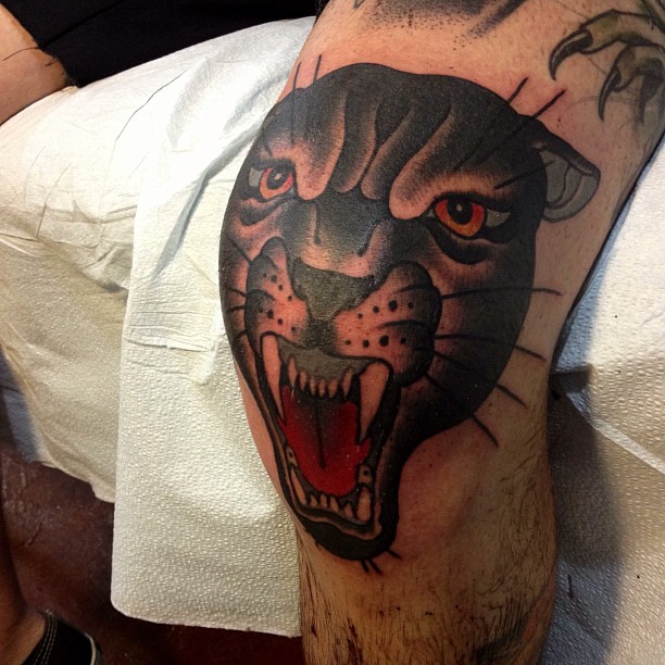 Tiger, Animal