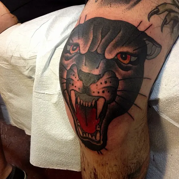 Tiger, Animal