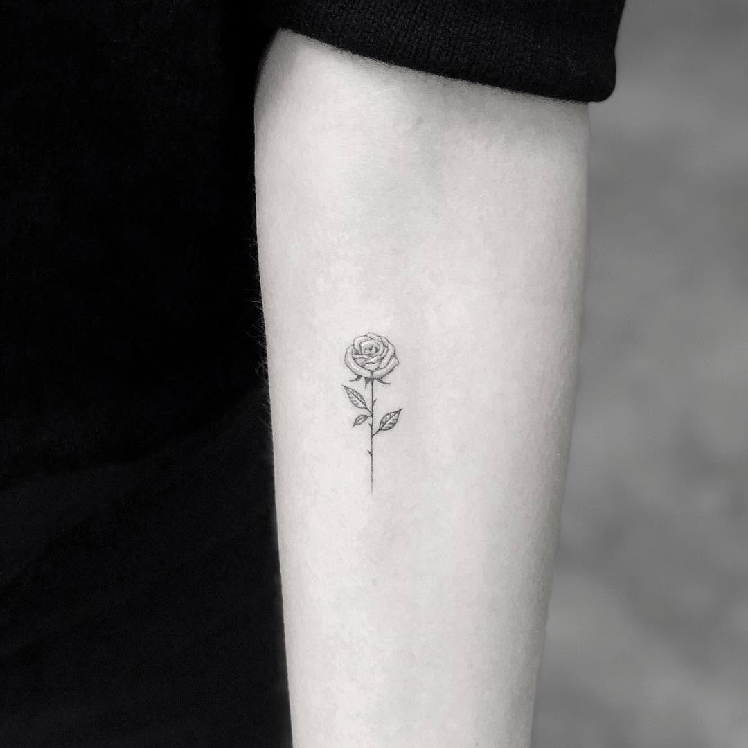 Flower, Rose