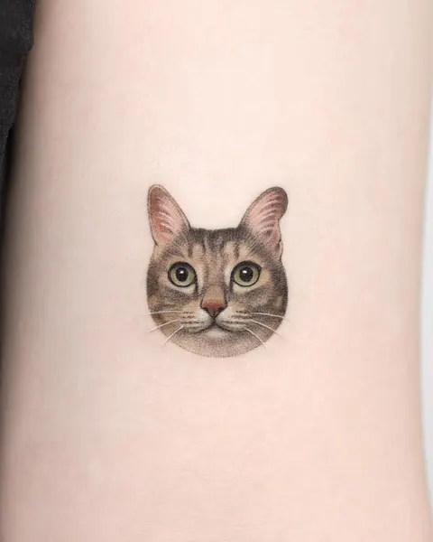 고양이, 마네키네코, 여우 가면