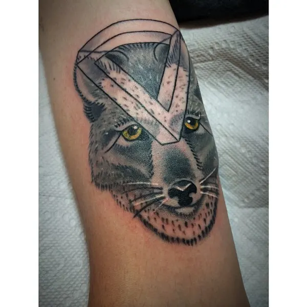 Animal, Tiger