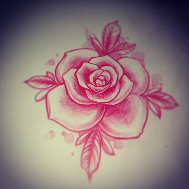 Flower, Rose
