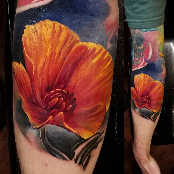 Flower, Rose
