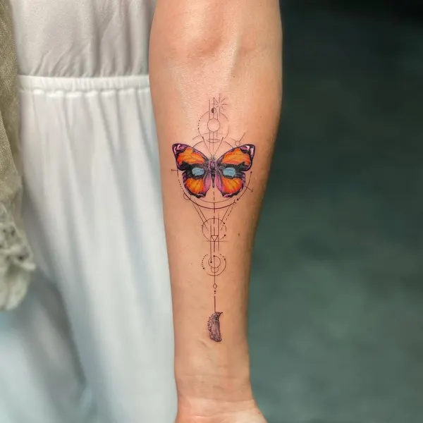 Nature, Animal, 무당벌레, 나방, 매미
