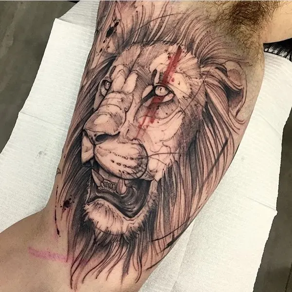 Tiger, 사자
