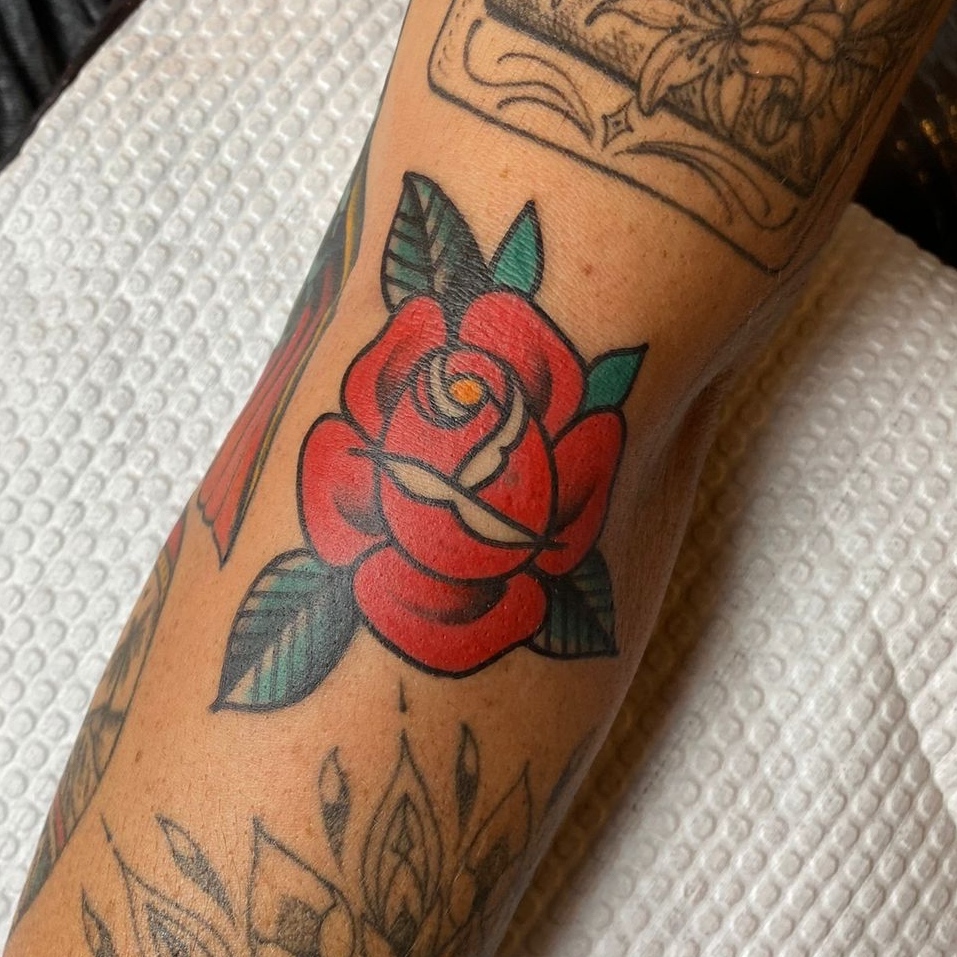 Flower, Rose