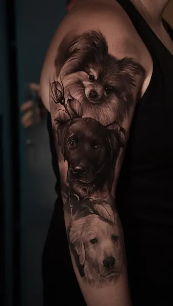 Animal