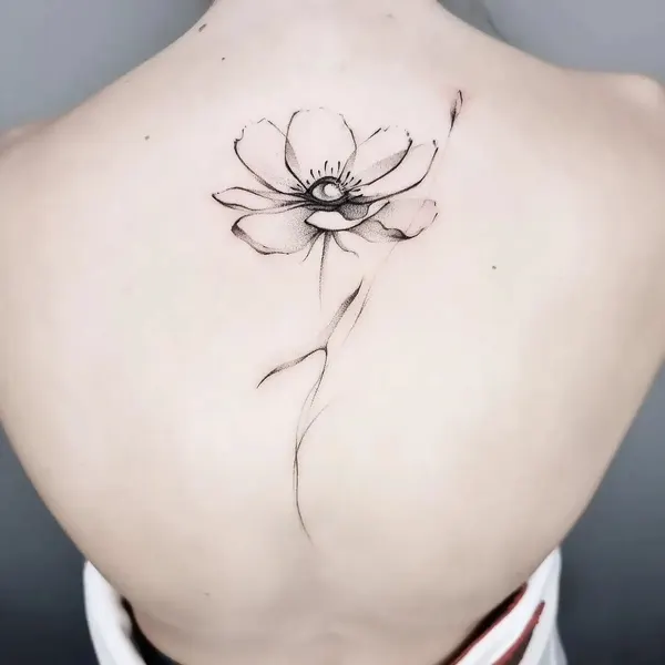 Flower, Nature, Rose