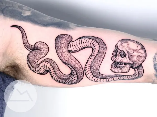 Snake