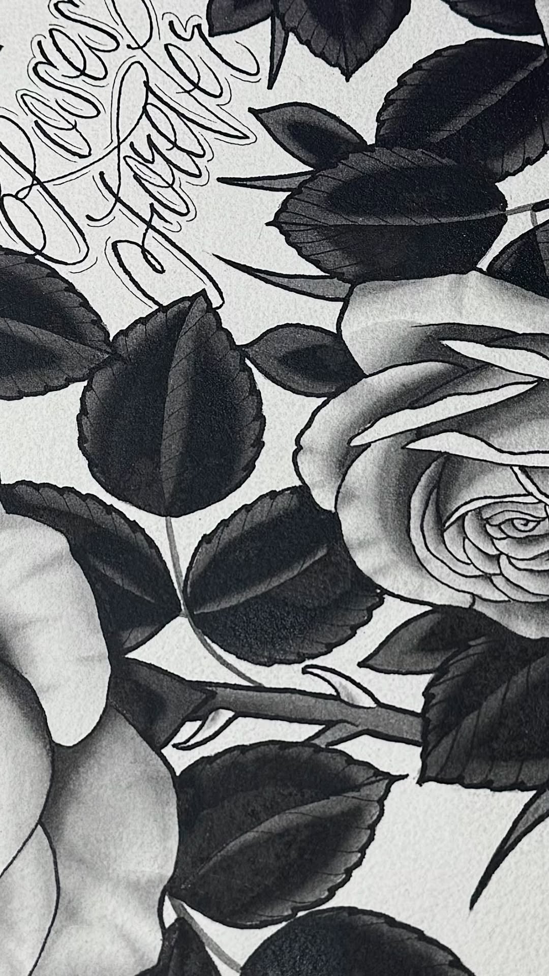 Flower, Rose