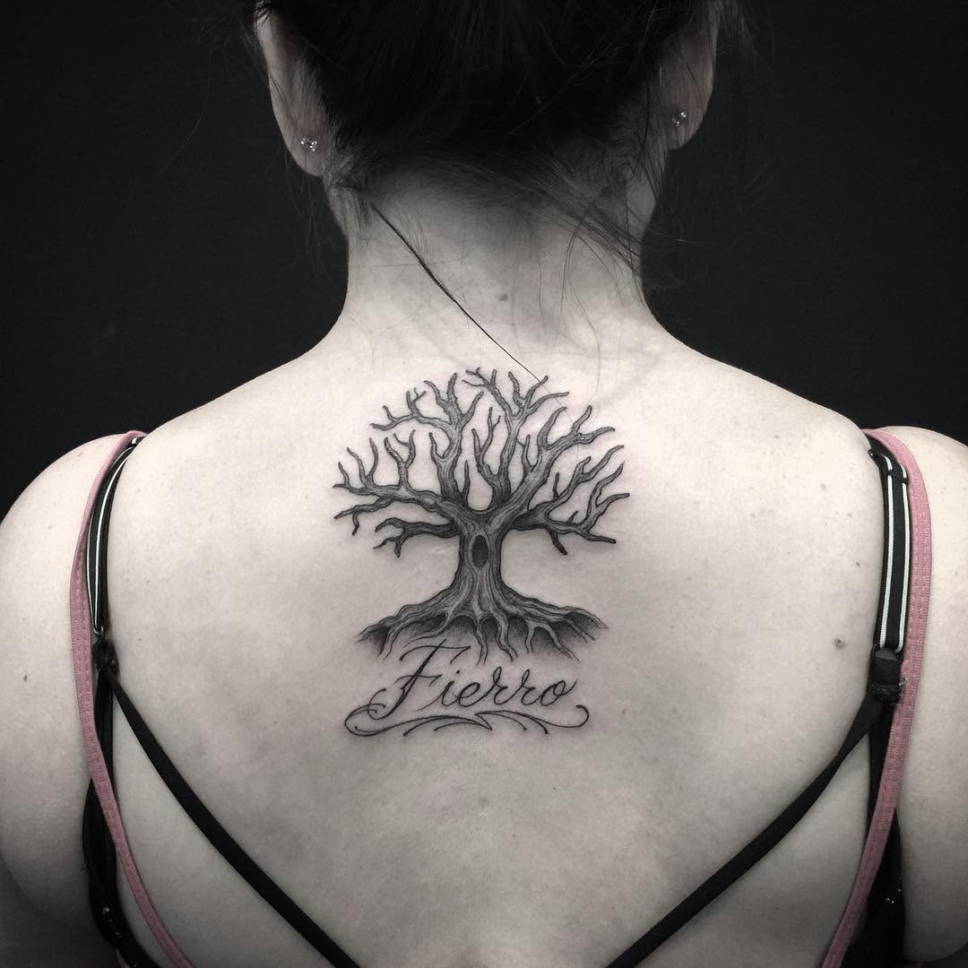 Nature, Flower, 뿌리, 나무, 소나무