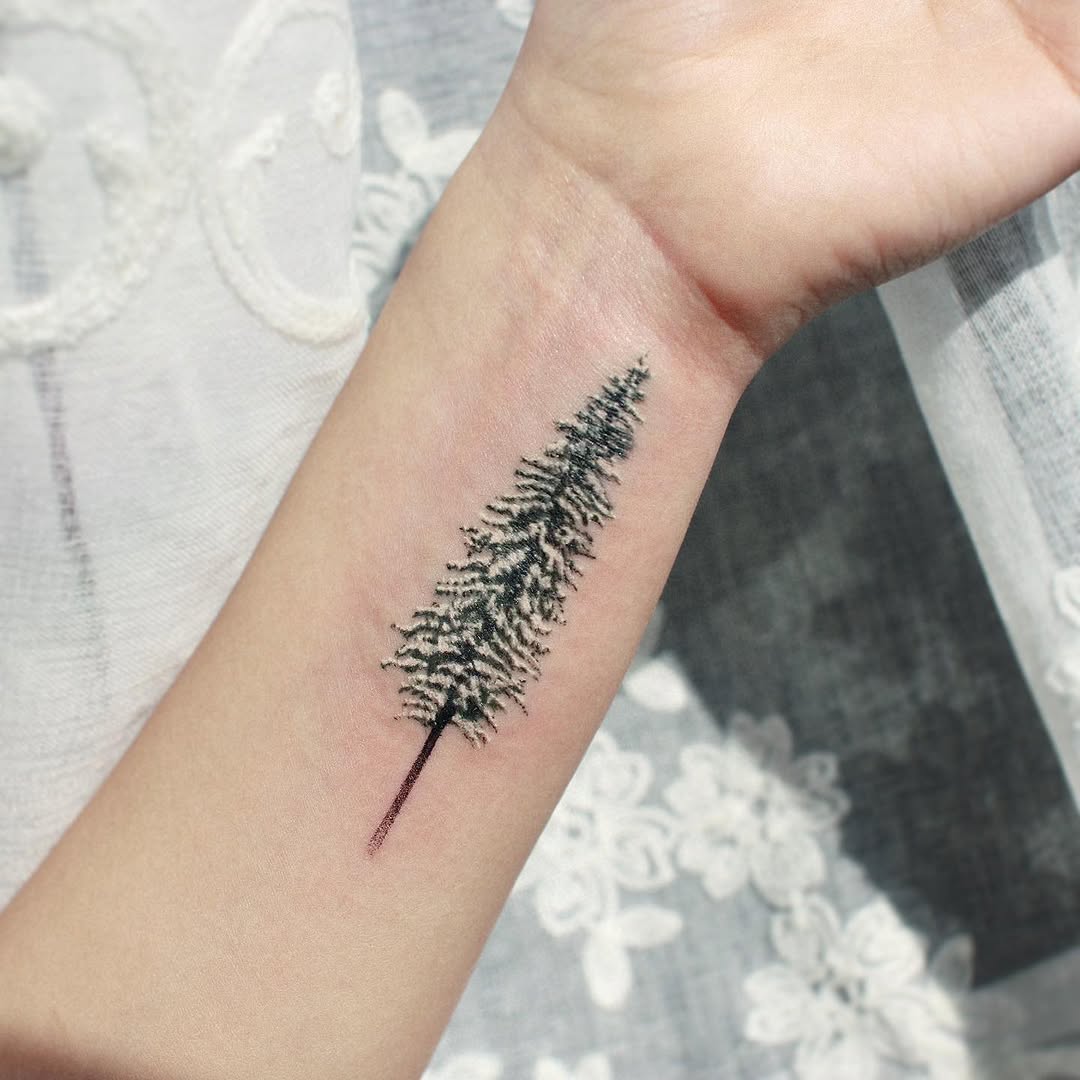 번개, Nature, 소나무