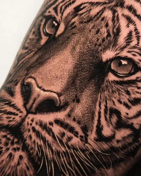 Animal