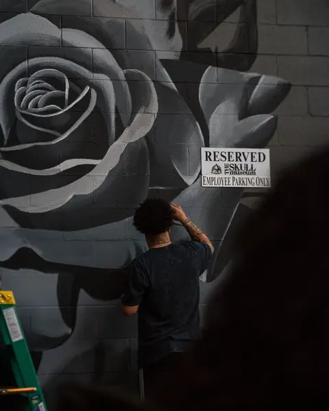 Flower, Rose