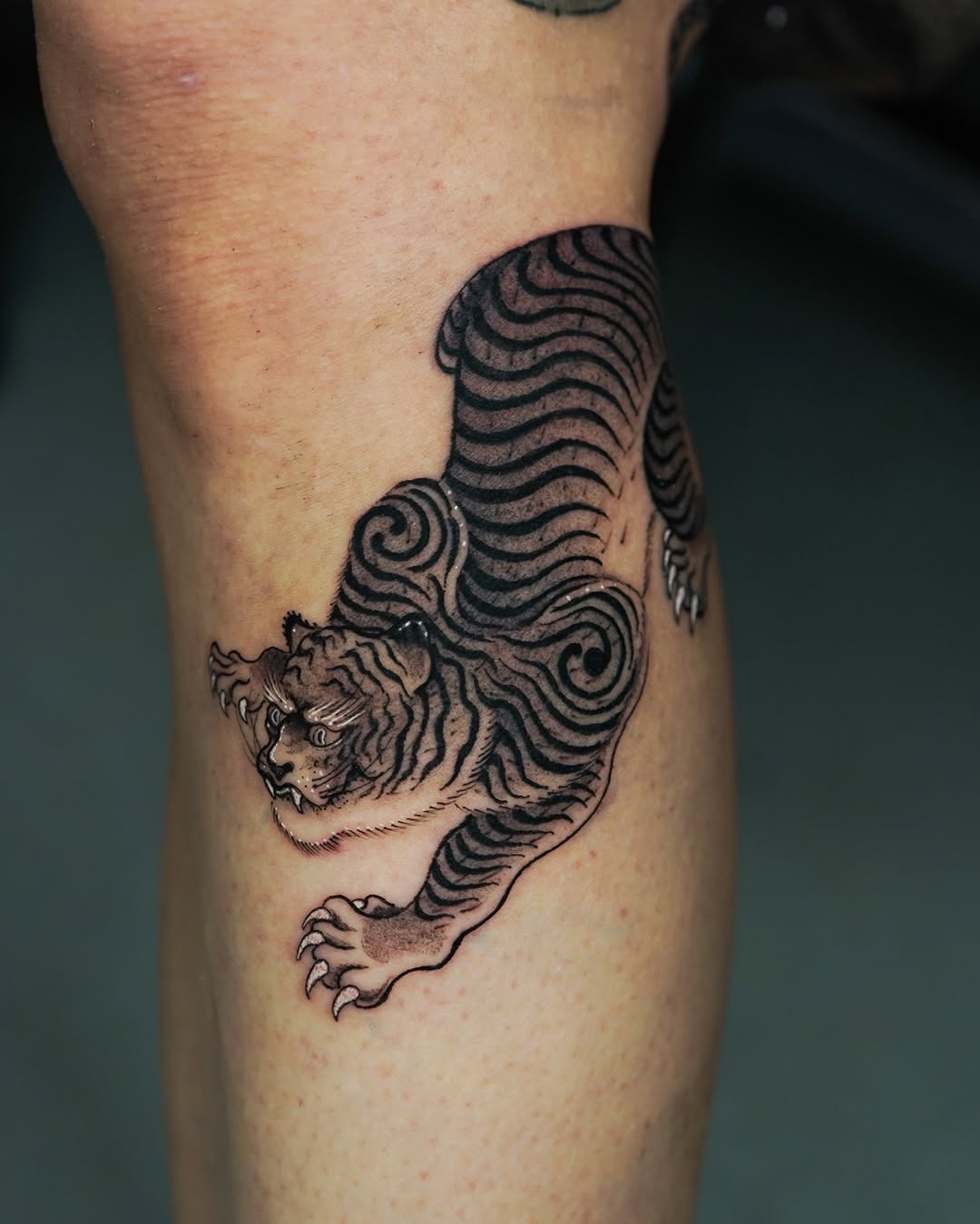 Tiger