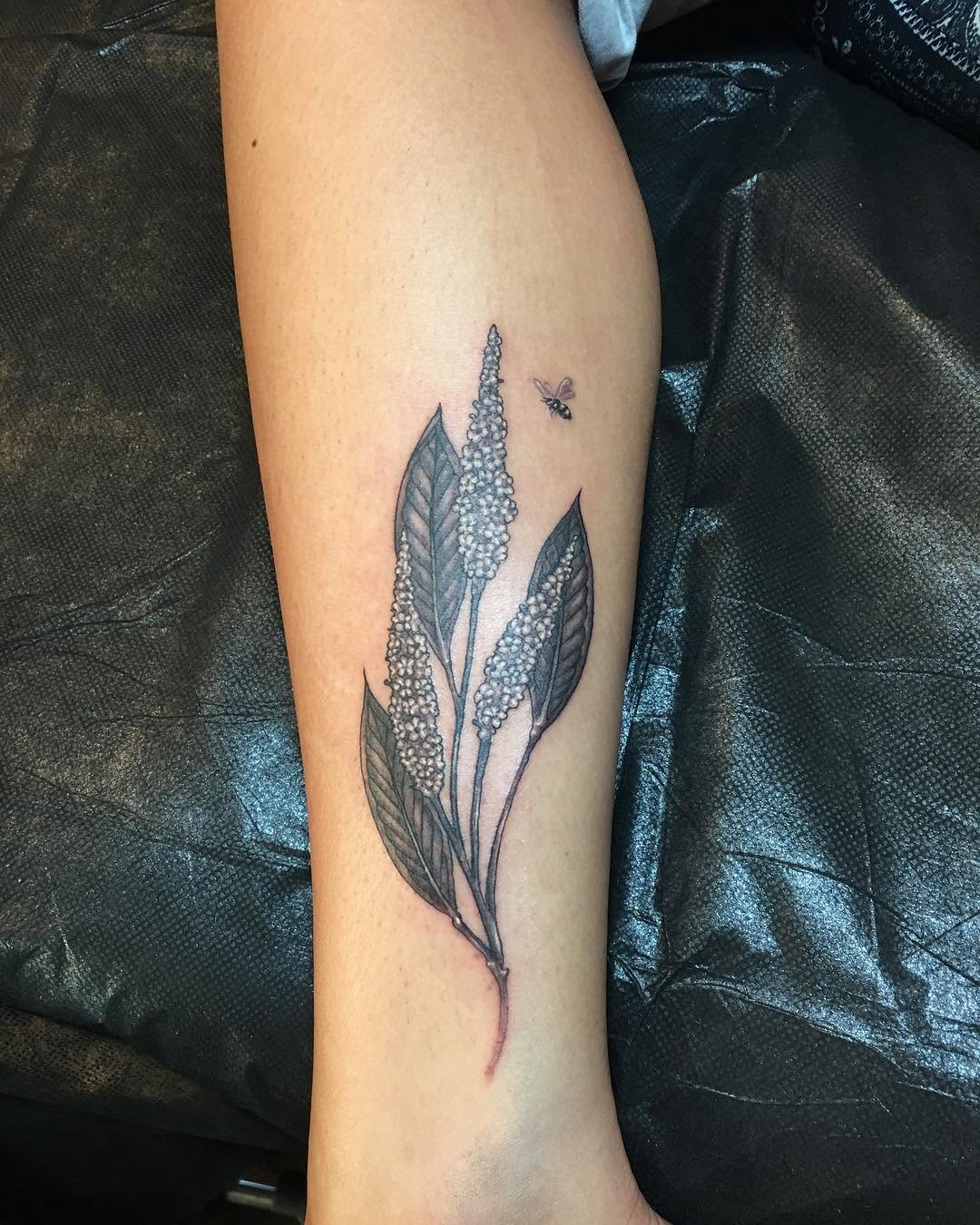 풀, Flower, Rose, 잎, 허브, 고사리, 단풍잎, 은행잎, 깃털