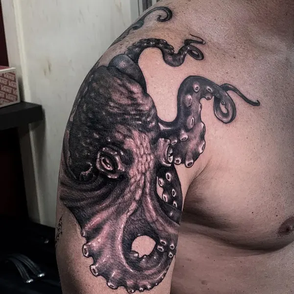 Animal, 크라켄, 문어