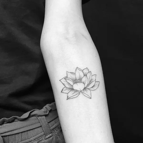 Flower, Rose, 단풍잎
