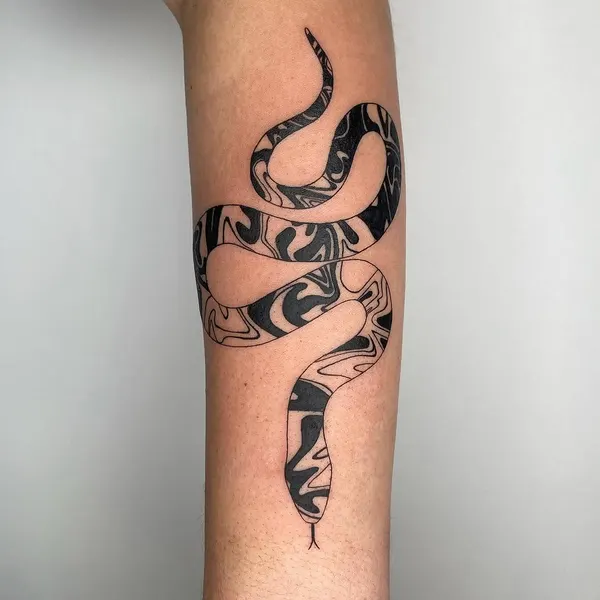 Dragon, Snake