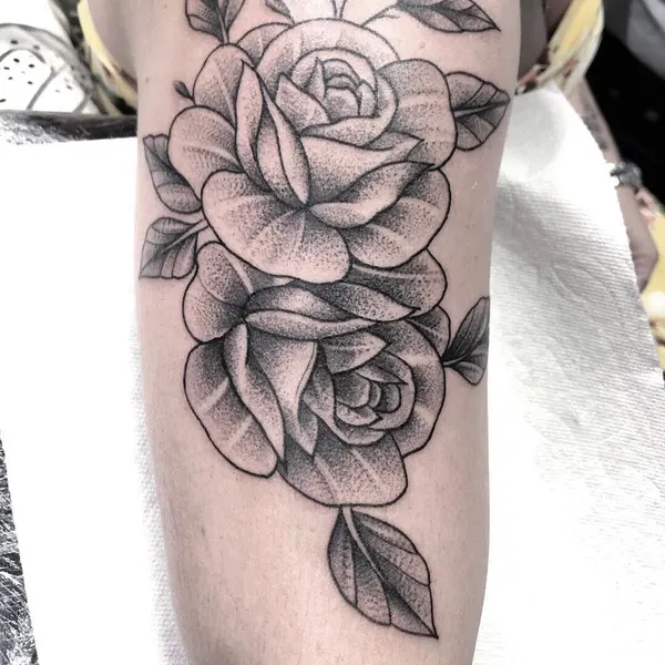 Flower, Rose