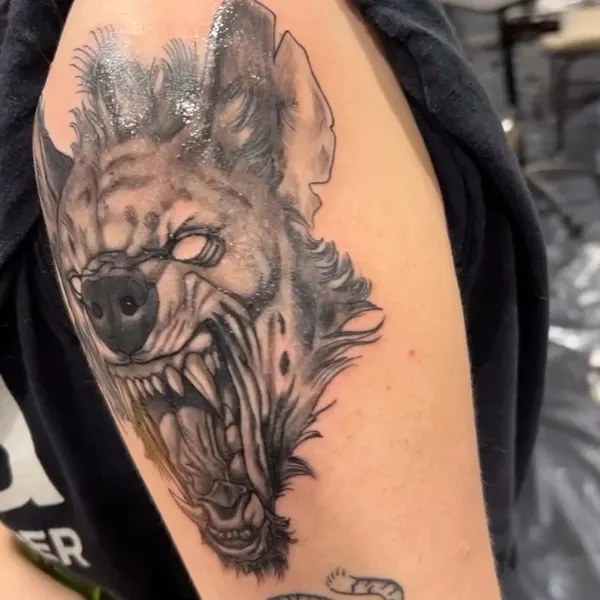 Tiger, Animal
