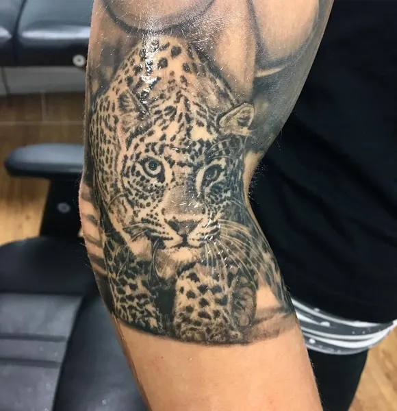 Animal, 치타, 표범, 재규어