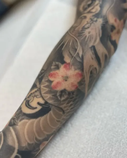 매화, Flower, Rose