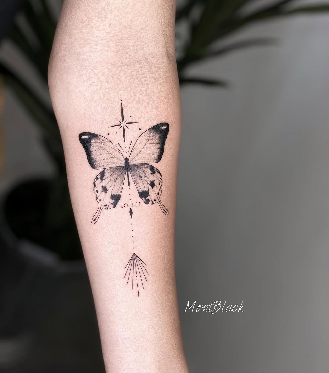 Animal, Nature